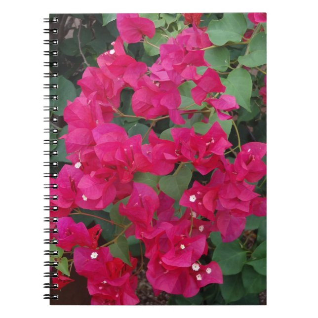 Caderno Espiral Bougainvillea (Frente)