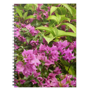 Caderno Espiral Bougainvillea púrpura tropical Floral