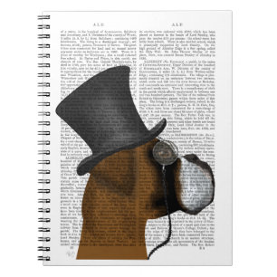 Caderno Espiral Boxer, Formal Hound e Hat