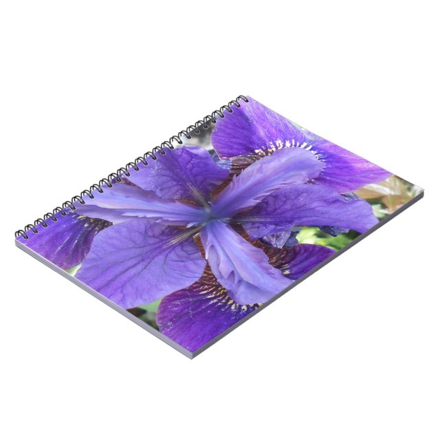 Caderno Espiral Brandeis (Left Side)