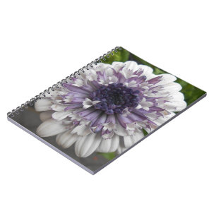 Caderno Espiral Brett