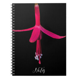 Caderno Espiral Bright Pink Fuchsia Flower on Black