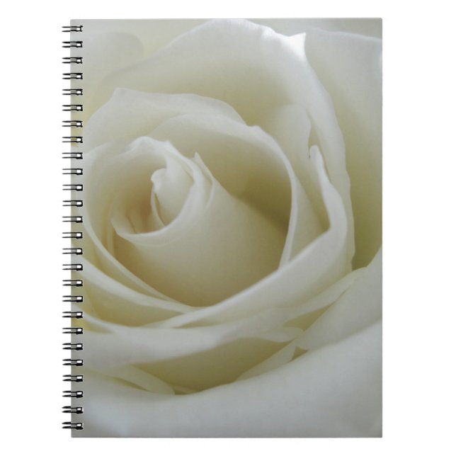 Caderno Espiral Brilho (Frente)