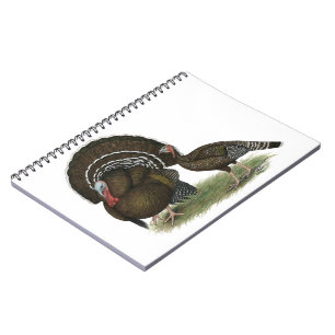 Caderno Espiral Bronze padrão da Turquia