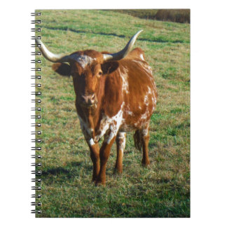 Caderno Espiral Brown e Longhorn branco Bull