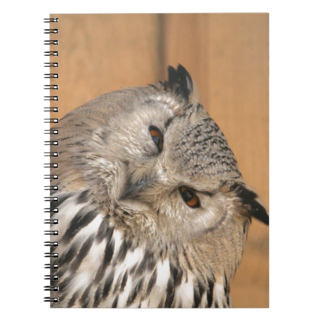 Caderno Espiral Bubo bubo sibiricus (Frente)