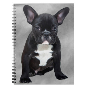 Caderno Espiral Buldogue Francês Sentado Aquarela Pintura Óleo