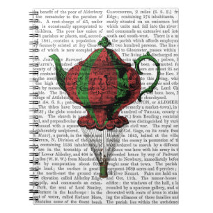 Caderno Espiral Bule voador 2 Vermelho e Verde