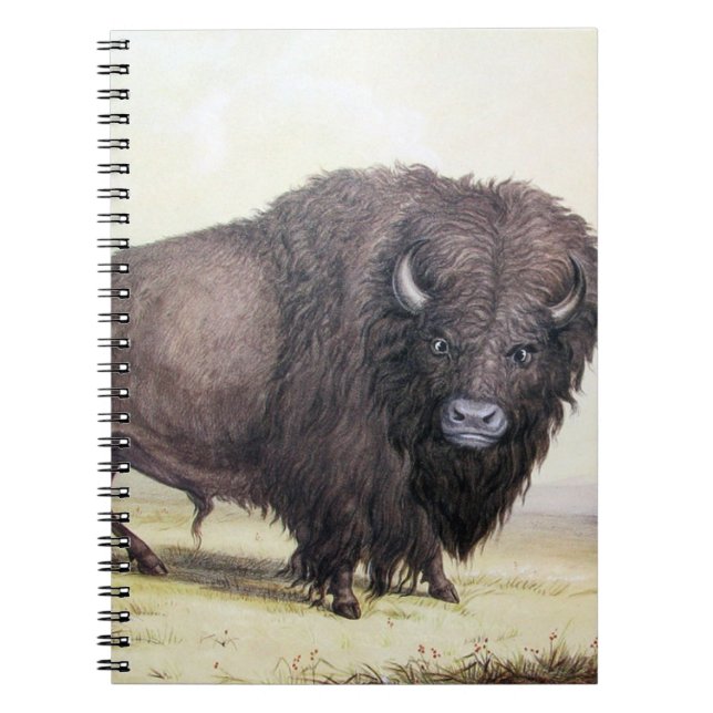 Caderno Espiral Bull Buffalo (Frente)