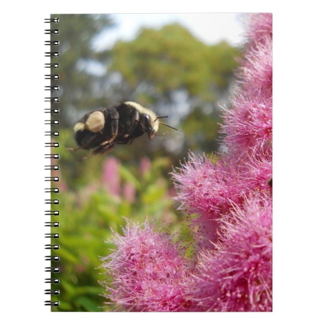 Caderno Espiral Bumblebee Float (Frente)