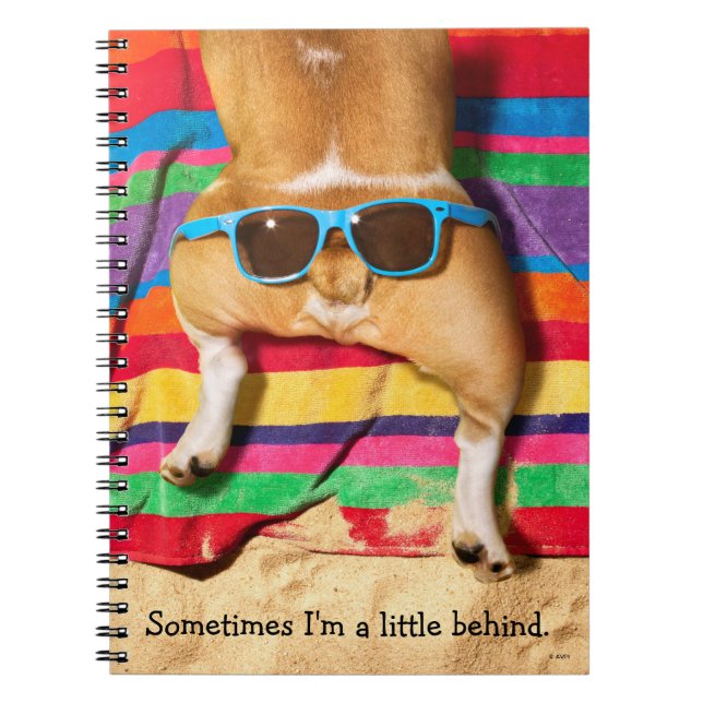 Caderno Espiral Bumbum De Cães Com Óculos De Sol (Frente)