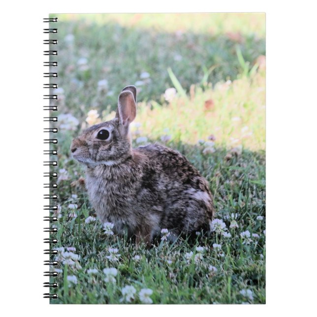 Caderno Espiral Bunny (Frente)