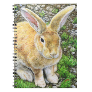 Caderno Espiral Bunny Pastel
