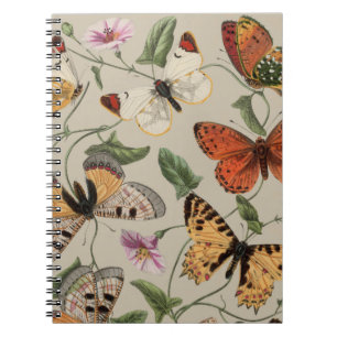 Caderno Espiral Butterfly Moth Nature Desenho aquarela antiga