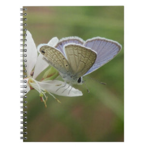 Caderno Espiral Butterfy azul marinho na flor de Gaura