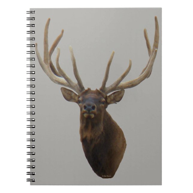Caderno Espiral Cabeça de Alce-Macho E48 em Terciopelo (Frente)