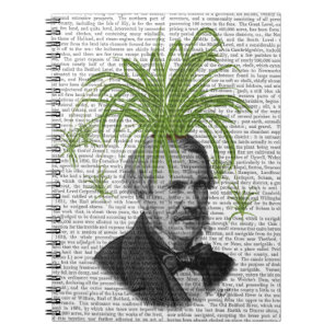 Caderno Espiral Cabeça de aranha