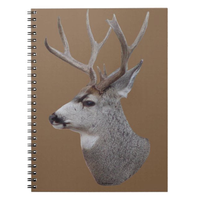 Caderno Espiral Cabeça de cervo-mula D27 (Frente)