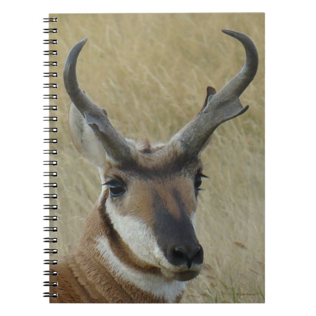 Caderno Espiral Cabeça de Grande Antílope Bighorn A5 (Frente)