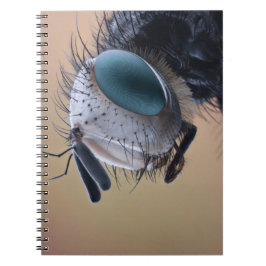 Caderno Espiral Cabeça de Inseto em Close-up