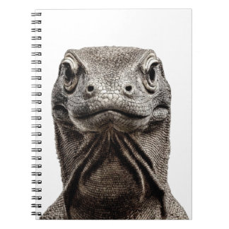 Caderno Espiral Cabeça de Komodo