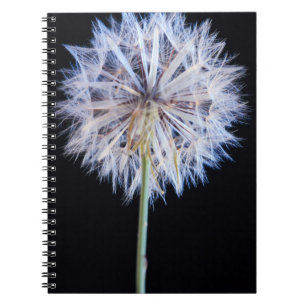 Caderno Espiral Cabeça de Semente de Dente-de-Leão (Taraxacum Offi