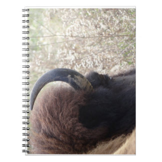 Caderno Espiral Cabeça do bisonte que encontra-se para baixo