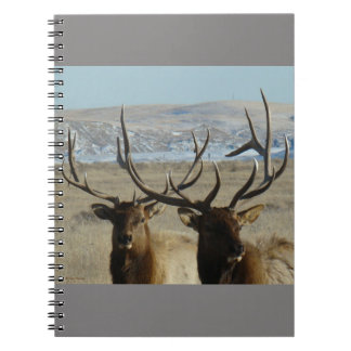 Caderno Espiral Cabeças de Alce Touro E45