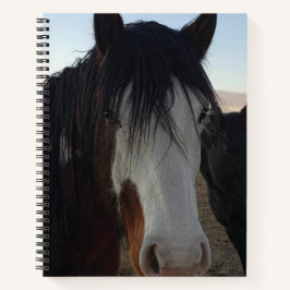 Caderno Espiral Cabelo nos Olhos