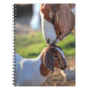 Caderno Espiral Cabra da mãe que beija seu bebê na cabeça