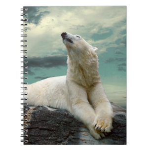 Caderno Espiral Caçador branco do urso polar na rocha
