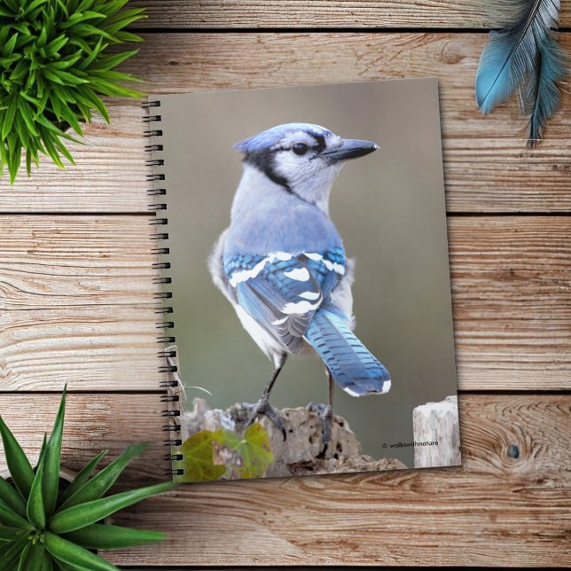 Caderno Espiral Caçador de Jay Azul-Cinto no Treestump (Blue Jay Strikes a Pose on the Stump Journal Cover Photo)