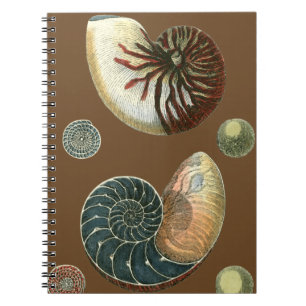 Caderno Espiral Cacau