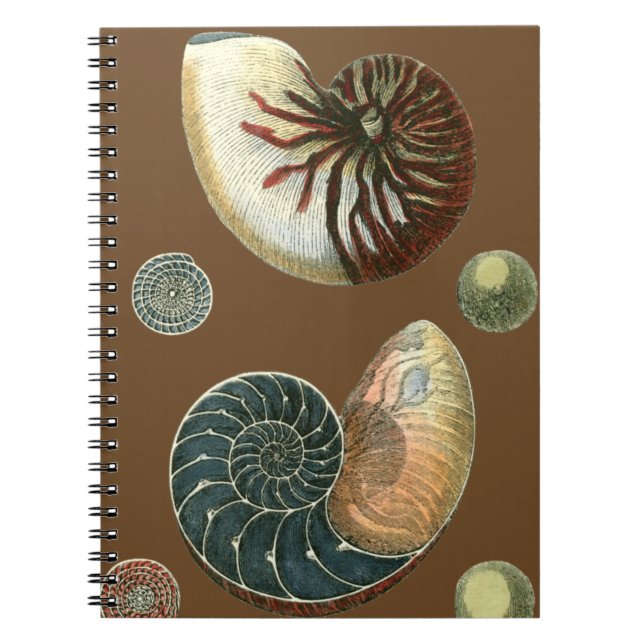 Caderno Espiral Cacau (Frente)