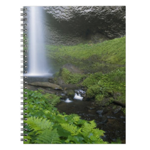 Caderno Espiral Cachoeira Latourell, Desfiladeiro do Rio Columbia,