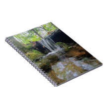 Cachoeira na Floresta