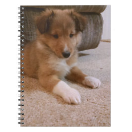 Caderno Espiral cachorrinho
