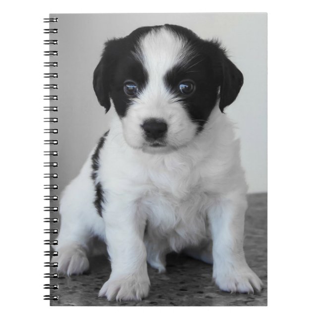 Caderno Espiral Cachorrinho Preto e Branco Adorável (Frente)