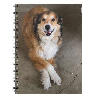 Caderno Espiral Cachorro