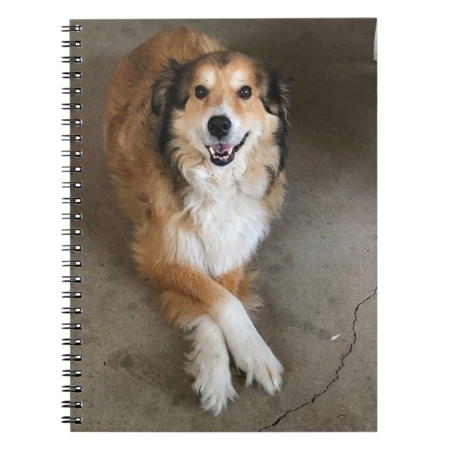 Caderno Espiral Cachorro (Frente)