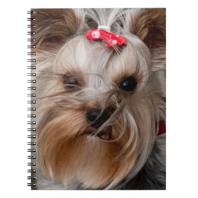 Caderno Espiral Cachorro bonito (Frente)