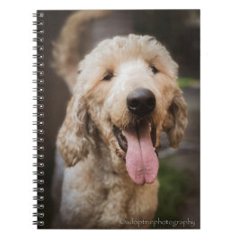 Caderno Espiral Cachorro de resgate sorrindo notebook de poodle pa
