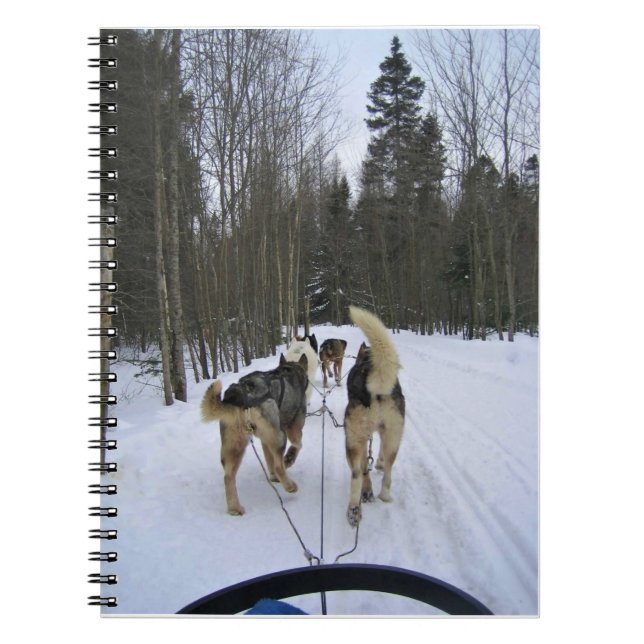 Caderno Espiral Cachorro Dormindo em Quebec, Canadá (Frente)