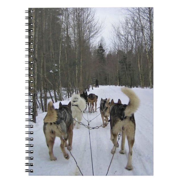 Caderno Espiral Cachorro Dormindo em Quebec, Canadá (Frente)