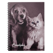 Cachorro e Gato, Procurando Personalizado