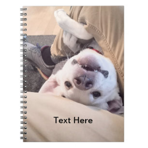 Caderno Espiral Cachorro Engraçado Não Será Ignorado Foto Cômica