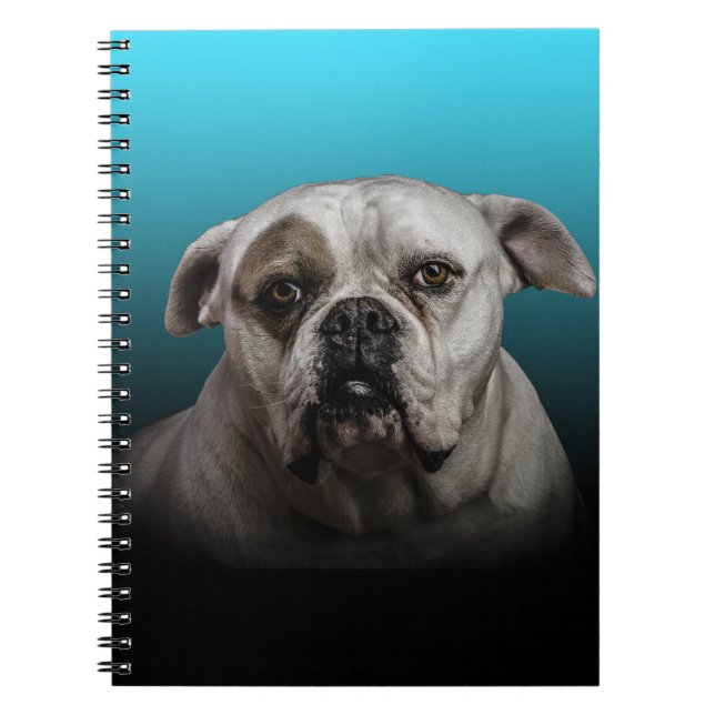 Caderno Espiral Cachorro Escuro com Gradação Preta Azul (Frente)