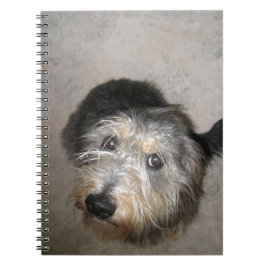 Caderno Espiral Cachorro fofo olhando para cima