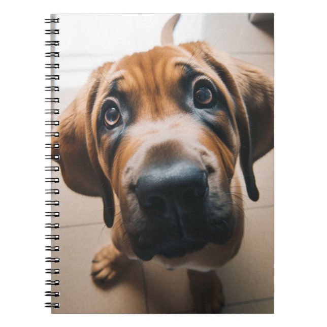 Caderno Espiral Cachorro Gelado (Frente)