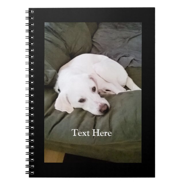 Caderno Espiral Cachorro Labrador Retriever Branco Fofo Cansado (Frente)